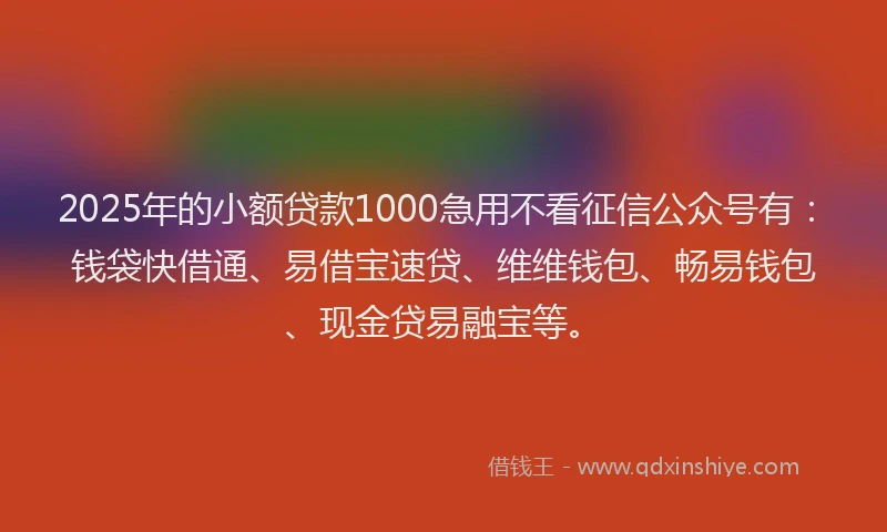 2025年的小额贷款1000急用不看征信公众号有：钱袋快借通、易借宝速贷、维维钱包、畅易钱包、现金贷易融宝等。