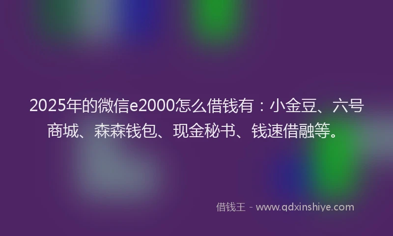 2025年的微信e2000怎么借钱有：小金豆、六号商城、森森钱包、现金秘书、钱速借融等。