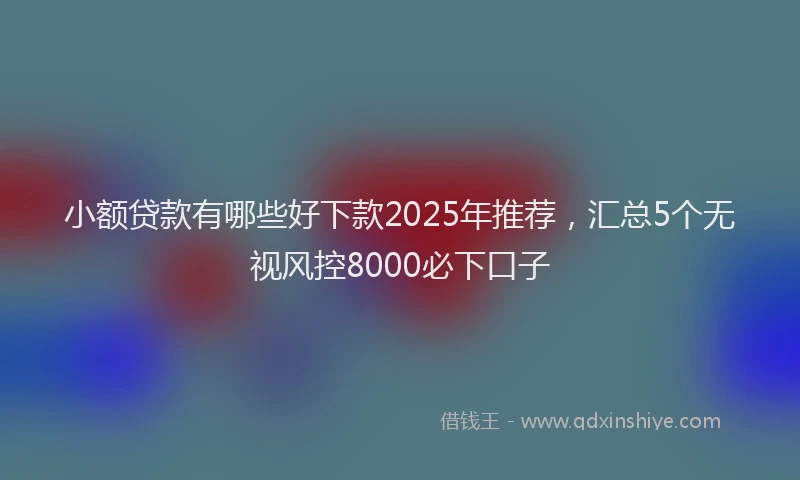 小额贷款有哪些好下款2025年推荐，汇总5个无视风控8000必下口子