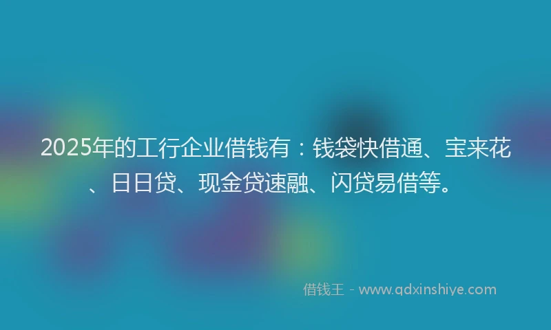 2025年的工行企业借钱有：钱袋快借通、宝来花、日日贷、现金贷速融、闪贷易借等。