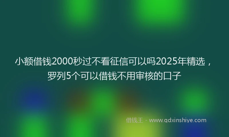 小额借钱2000秒过不看征信可以吗2025年精选，罗列5个可以借钱不用审核的口子