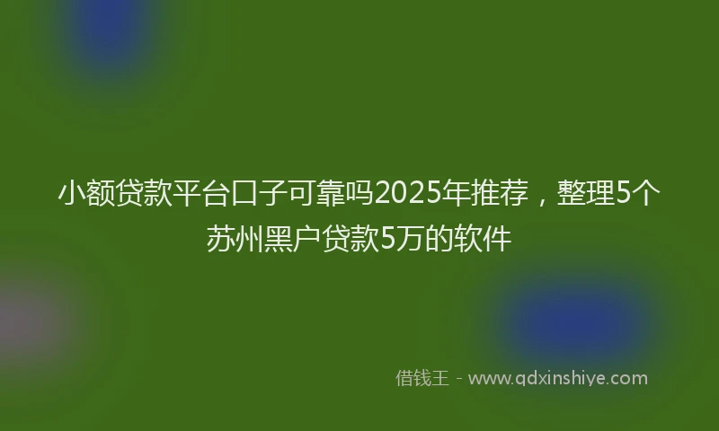 小额贷款平台口子可靠吗2025年推荐，整理5个苏州黑户贷款5万的软件