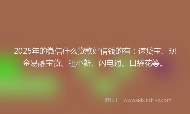 2025年的微信什么贷款好借钱的有：速贷宝、现金易融宝贷、租小新、闪电通、口袋花等。