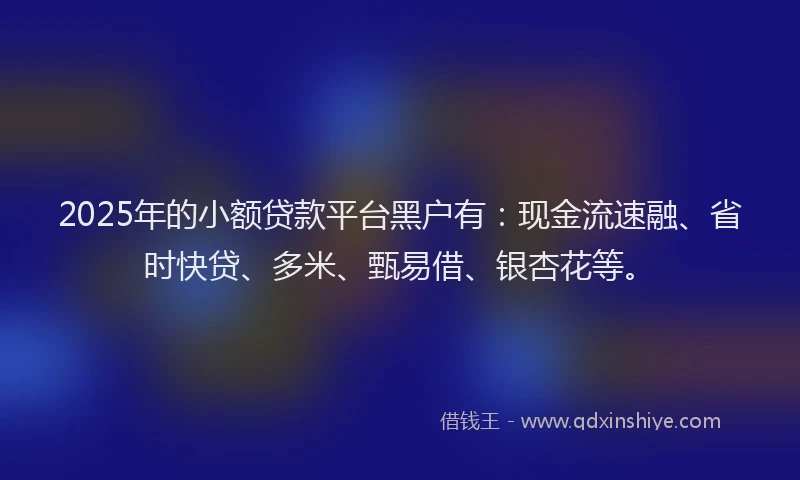 2025年的小额贷款平台黑户有：现金流速融、省时快贷、多米、甄易借、银杏花等。