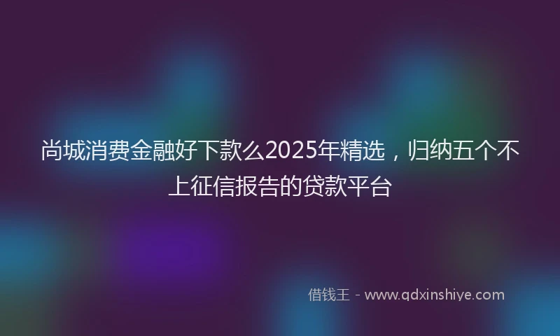 尚城消费金融好下款么2025年精选，归纳五个不上征信报告的贷款平台