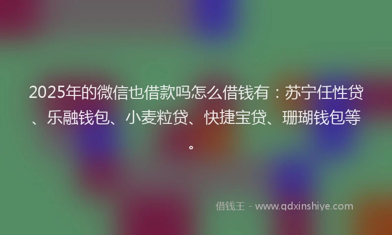 2025年的微信也借款吗怎么借钱有：苏宁任性贷、乐融钱包、小麦粒贷、快捷宝贷、珊瑚钱包等。