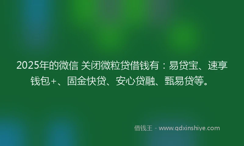 2025年的微信 关闭微粒贷借钱有：易贷宝、速享钱包+、固金快贷、安心贷融、甄易贷等。