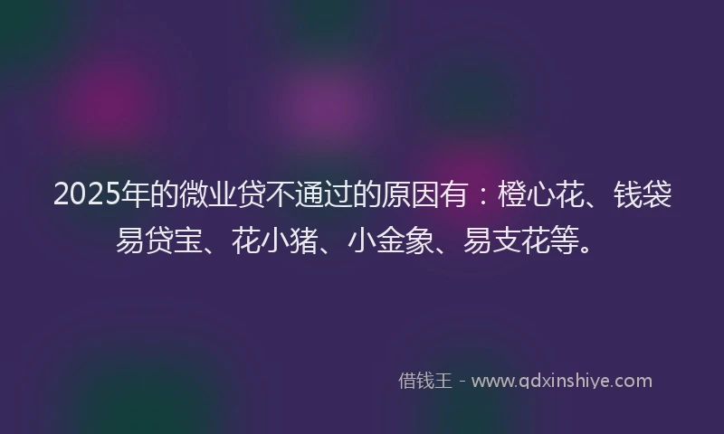 2025年的微业贷不通过的原因有：橙心花、钱袋易贷宝、花小猪、小金象、易支花等。