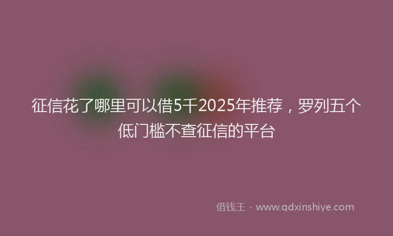 征信花了哪里可以借5千2025年推荐，罗列五个低门槛不查征信的平台