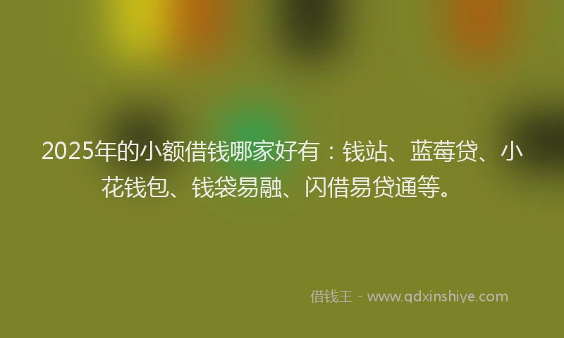 2025年的小额借钱哪家好有：钱站、蓝莓贷、小花钱包、钱袋易融、闪借易贷通等。