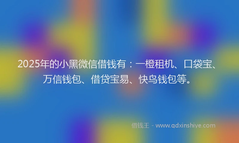 2025年的小黑微信借钱有：一橙租机、口袋宝、万信钱包、借贷宝易、快鸟钱包等。