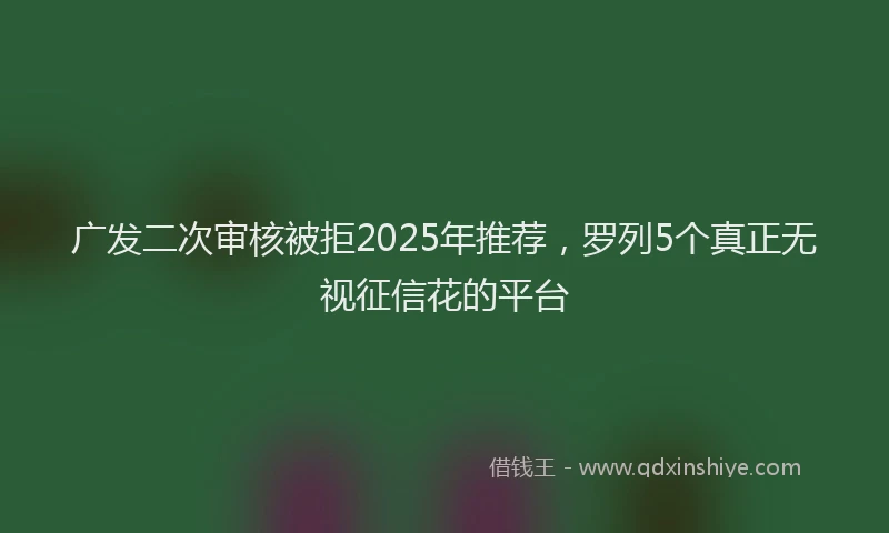 广发二次审核被拒2025年推荐，罗列5个真正无视征信花的平台