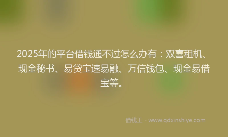 2025年的平台借钱通不过怎么办有：双喜租机、现金秘书、易贷宝速易融、万信钱包、现金易借宝等。