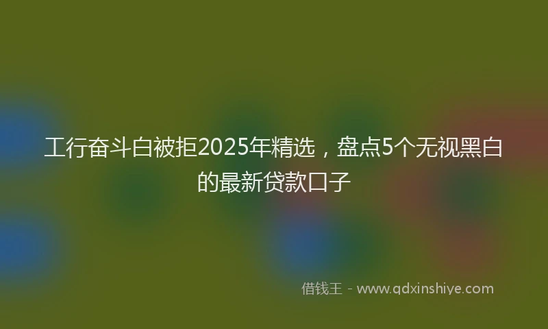 工行奋斗白被拒2025年精选，盘点5个无视黑白的最新贷款口子
