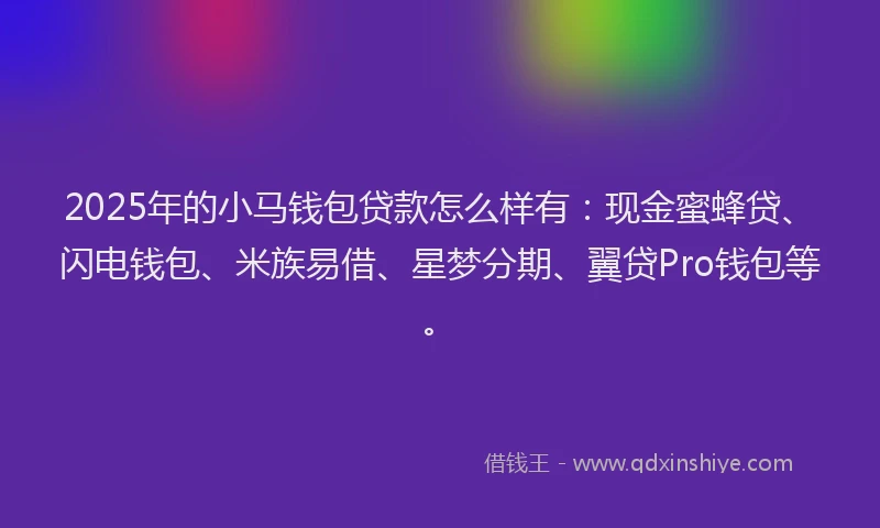 2025年的小马钱包贷款怎么样有：现金蜜蜂贷、闪电钱包、米族易借、星梦分期、翼贷Pro钱包等。