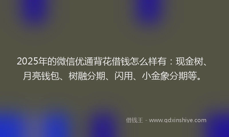 2025年的微信优通背花借钱怎么样有：现金树、月亮钱包、树融分期、闪用、小金象分期等。