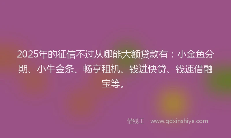2025年的征信不过从哪能大额贷款有：小金鱼分期、小牛金条、畅享租机、钱进快贷、钱速借融宝等。