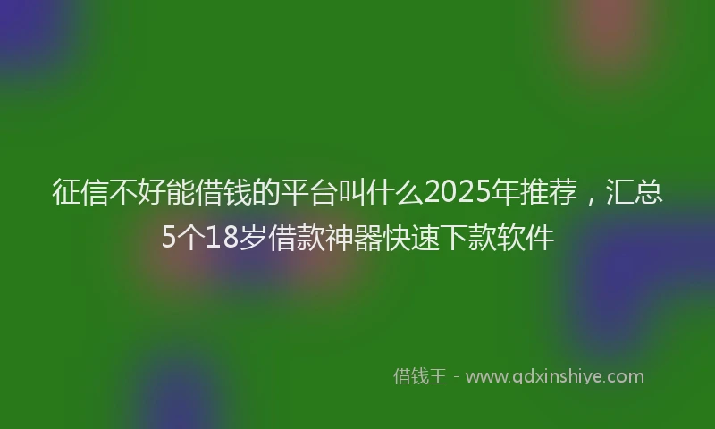 征信不好能借钱的平台叫什么2025年推荐，汇总5个18岁借款神器快速下款软件