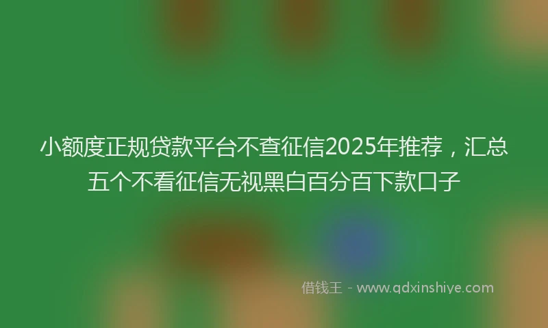 小额度正规贷款平台不查征信2025年推荐，汇总五个不看征信无视黑白百分百下款口子