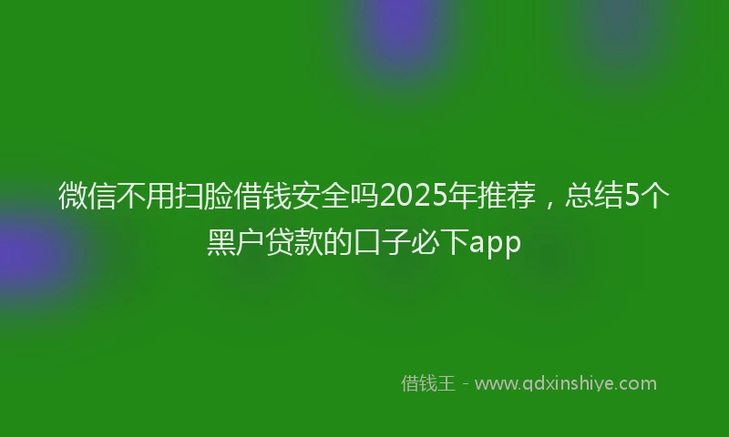 微信不用扫脸借钱安全吗2025年推荐，总结5个黑户贷款的口子必下app
