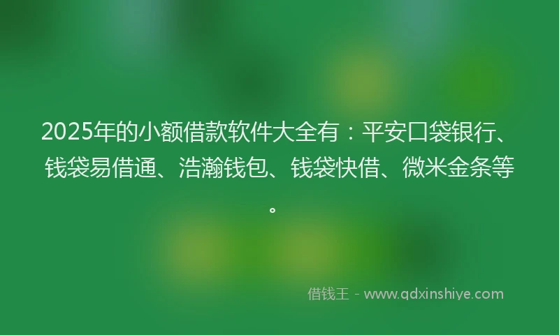 2025年的小额借款软件大全有：平安口袋银行、钱袋易借通、浩瀚钱包、钱袋快借、微米金条等。