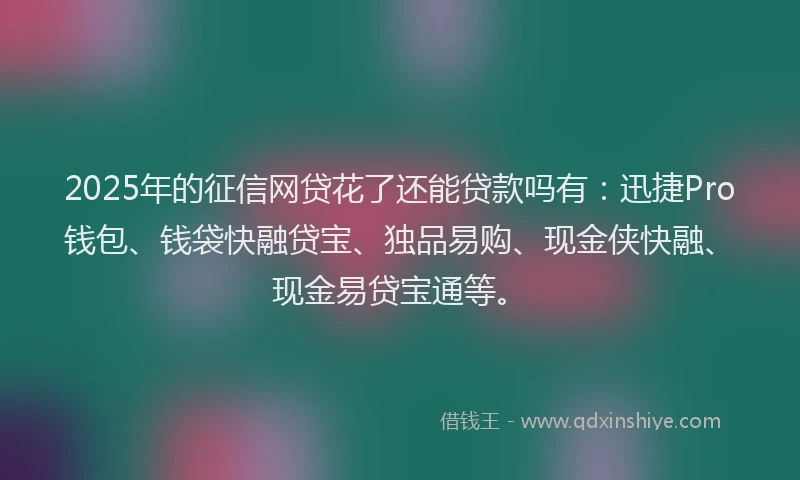 2025年的征信网贷花了还能贷款吗有：迅捷Pro钱包、钱袋快融贷宝、独品易购、现金侠快融、现金易贷宝通等。