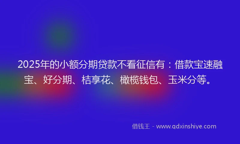 2025年的小额分期贷款不看征信有：借款宝速融宝、好分期、桔享花、橄榄钱包、玉米分等。
