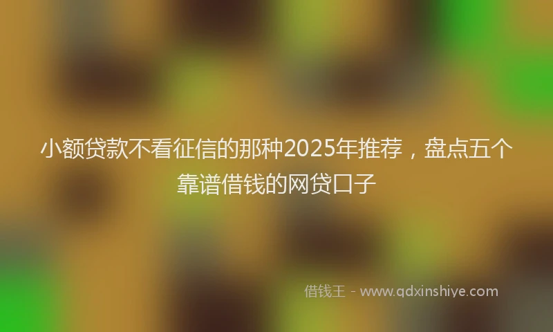 小额贷款不看征信的那种2025年推荐，盘点五个靠谱借钱的网贷口子