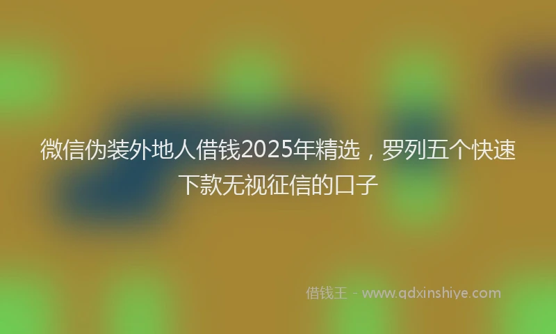 微信伪装外地人借钱2025年精选，罗列五个快速下款无视征信的口子