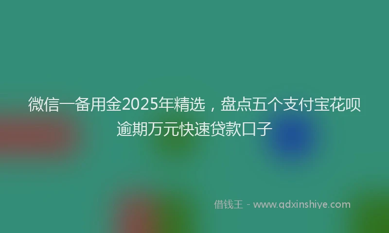 微信一备用金2025年精选，盘点五个支付宝花呗逾期万元快速贷款口子