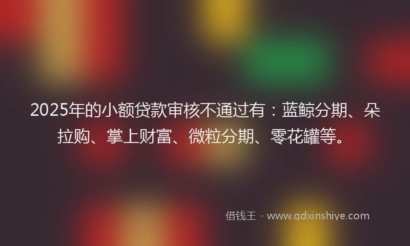 2025年的小额贷款审核不通过有：蓝鲸分期、朵拉购、掌上财富、微粒分期、零花罐等。