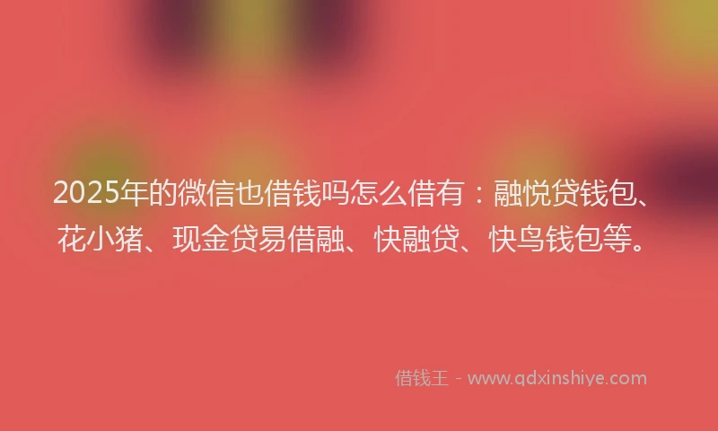 2025年的微信也借钱吗怎么借有：融悦贷钱包、花小猪、现金贷易借融、快融贷、快鸟钱包等。