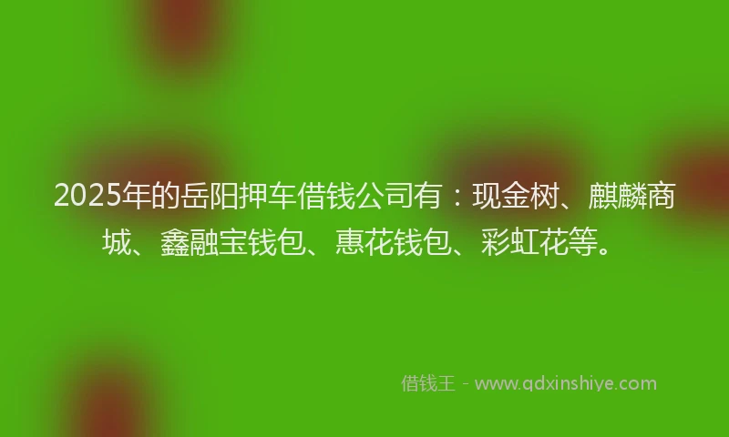 2025年的岳阳押车借钱公司有：现金树、麒麟商城、鑫融宝钱包、惠花钱包、彩虹花等。