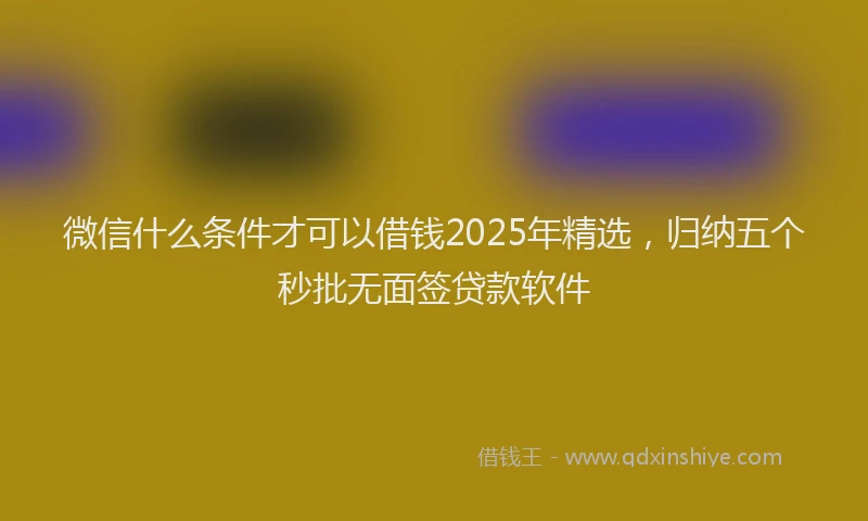 微信什么条件才可以借钱2025年精选，归纳五个秒批无面签贷款软件