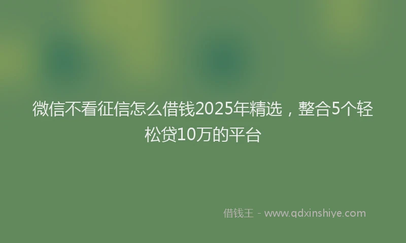 微信不看征信怎么借钱2025年精选，整合5个轻松贷10万的平台