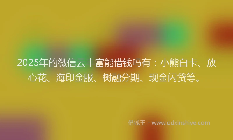 2025年的微信云丰富能借钱吗有：小熊白卡、放心花、海印金服、树融分期、现金闪贷等。