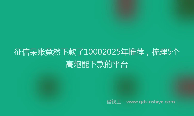 征信呆账竟然下款了10002025年推荐，梳理5个高炮能下款的平台