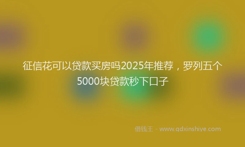 征信花可以贷款买房吗2025年推荐，罗列五个5000块贷款秒下口子