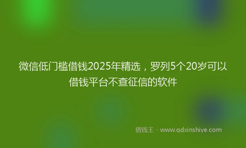 微信低门槛借钱2025年精选，罗列5个20岁可以借钱平台不查征信的软件