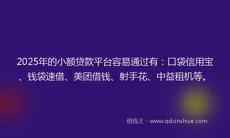 2025年的小额贷款平台容易通过有：口袋信用宝、钱袋速借、美团借钱、射手花、中益租机等。