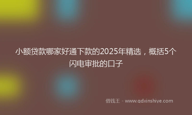 小额贷款哪家好通下款的2025年精选，概括5个闪电审批的口子