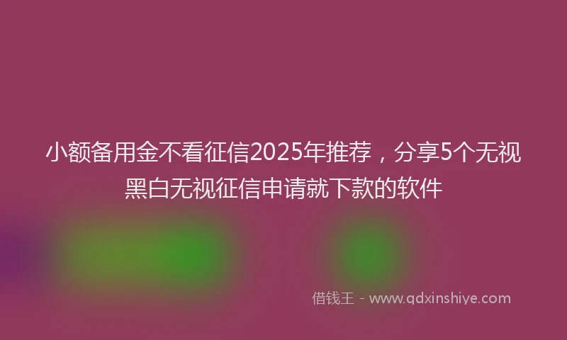 小额备用金不看征信2025年推荐，分享5个无视黑白无视征信申请就下款的软件