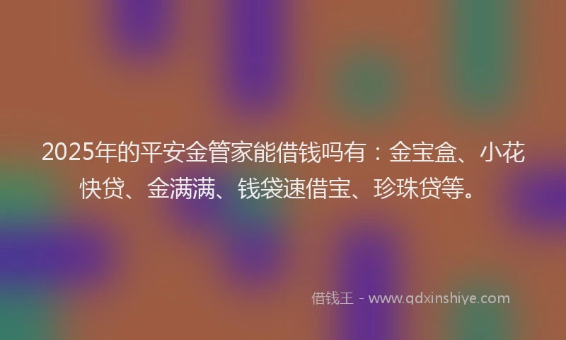 2025年的平安金管家能借钱吗有：金宝盒、小花快贷、金满满、钱袋速借宝、珍珠贷等。