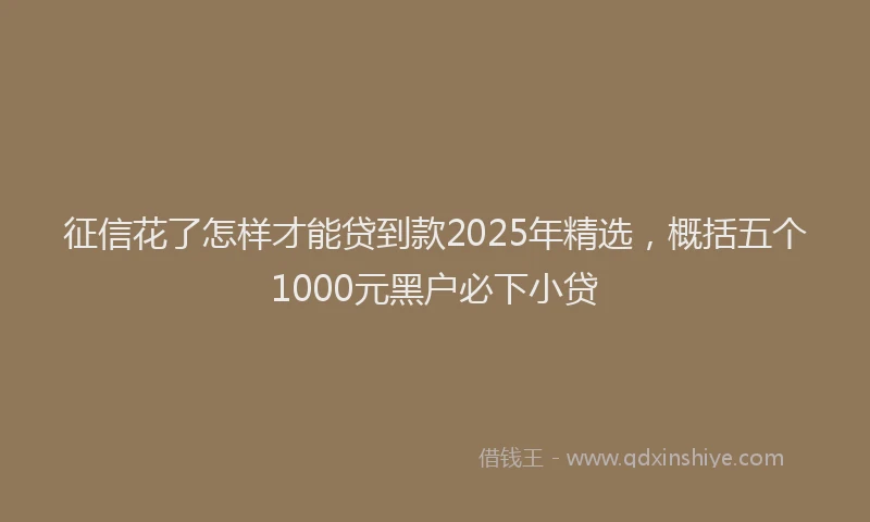 征信花了怎样才能贷到款2025年精选，概括五个1000元黑户必下小贷