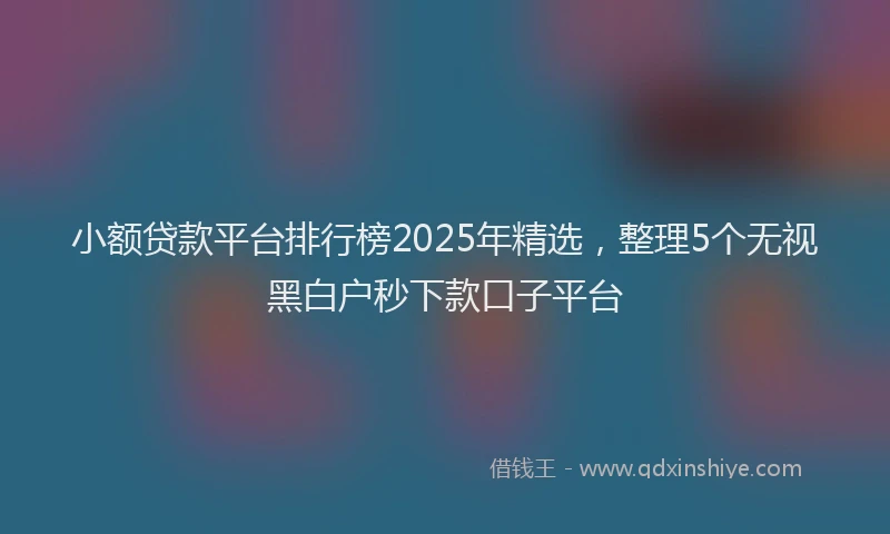 小额贷款平台排行榜2025年精选，整理5个无视黑白户秒下款口子平台