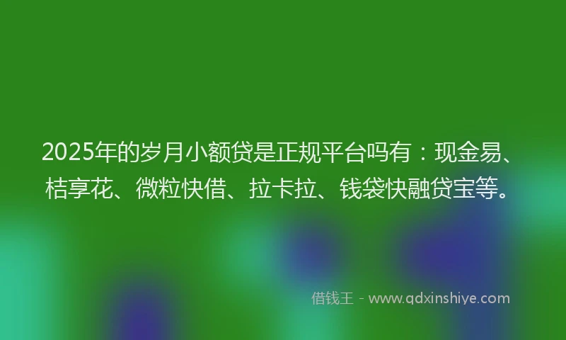 2025年的岁月小额贷是正规平台吗有：现金易、桔享花、微粒快借、拉卡拉、钱袋快融贷宝等。
