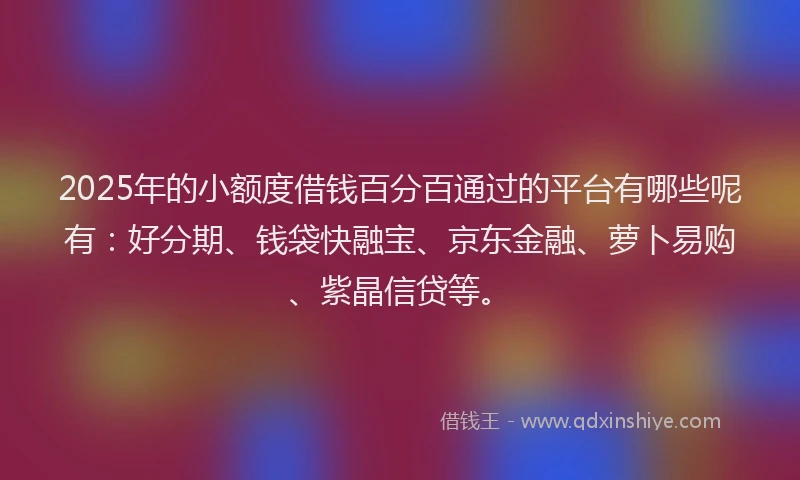 2025年的小额度借钱百分百通过的平台有哪些呢有：好分期、钱袋快融宝、京东金融、萝卜易购、紫晶信贷等。