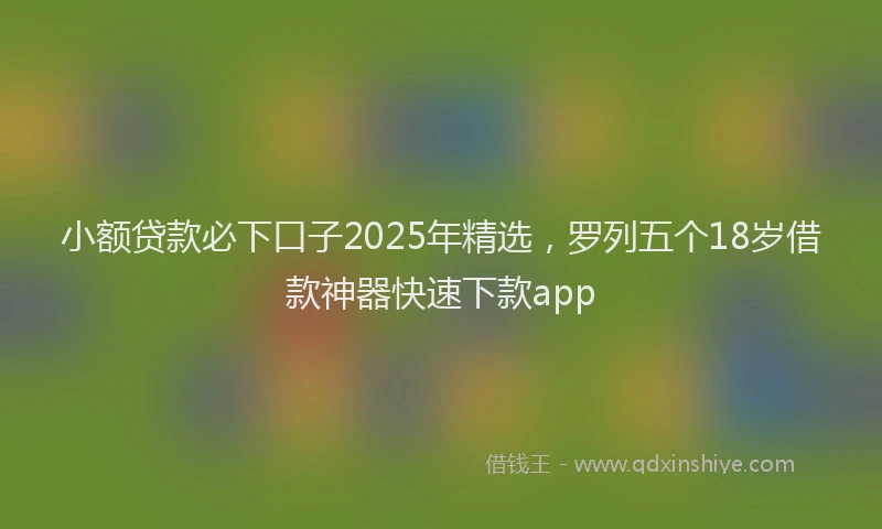 小额贷款必下口子2025年精选，罗列五个18岁借款神器快速下款app