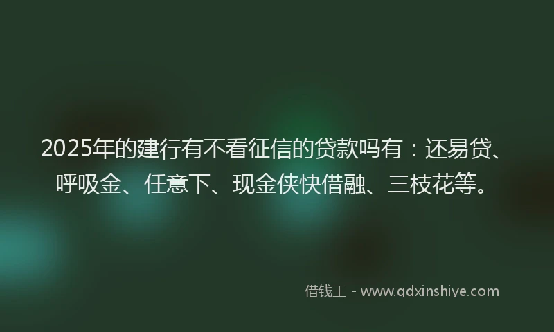 2025年的建行有不看征信的贷款吗有：还易贷、呼吸金、任意下、现金侠快借融、三枝花等。