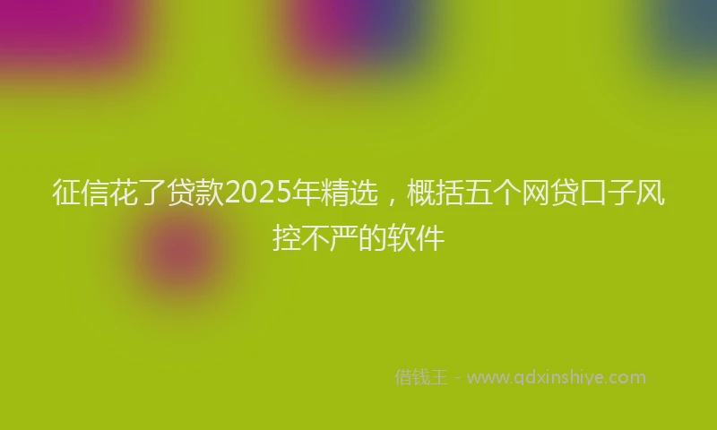 征信花了贷款2025年精选，概括五个网贷口子风控不严的软件